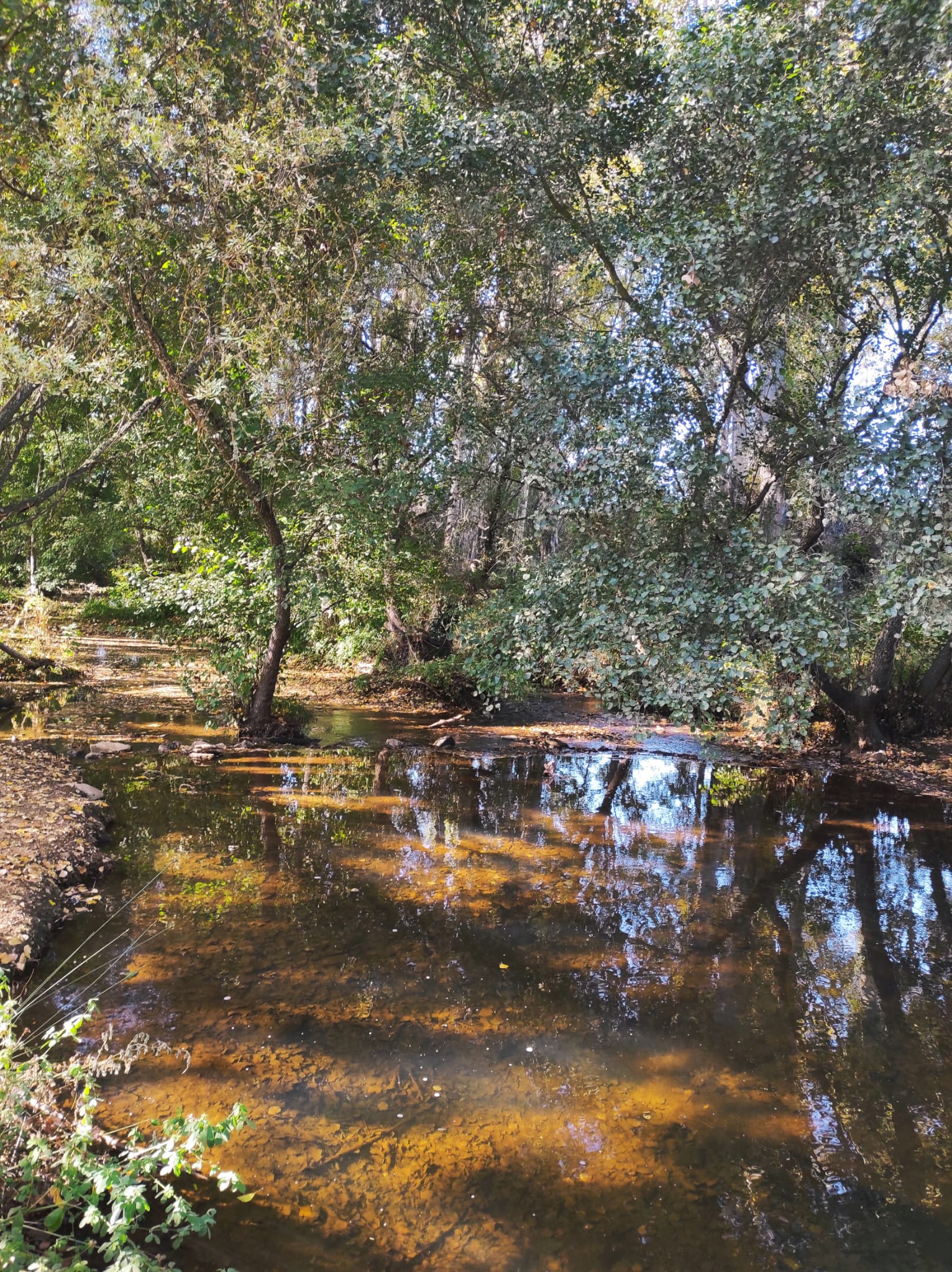 NACIMIENTO RIO HUESNA