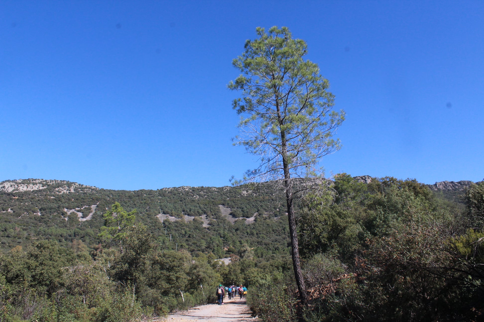 Travesía Finca la Garganta