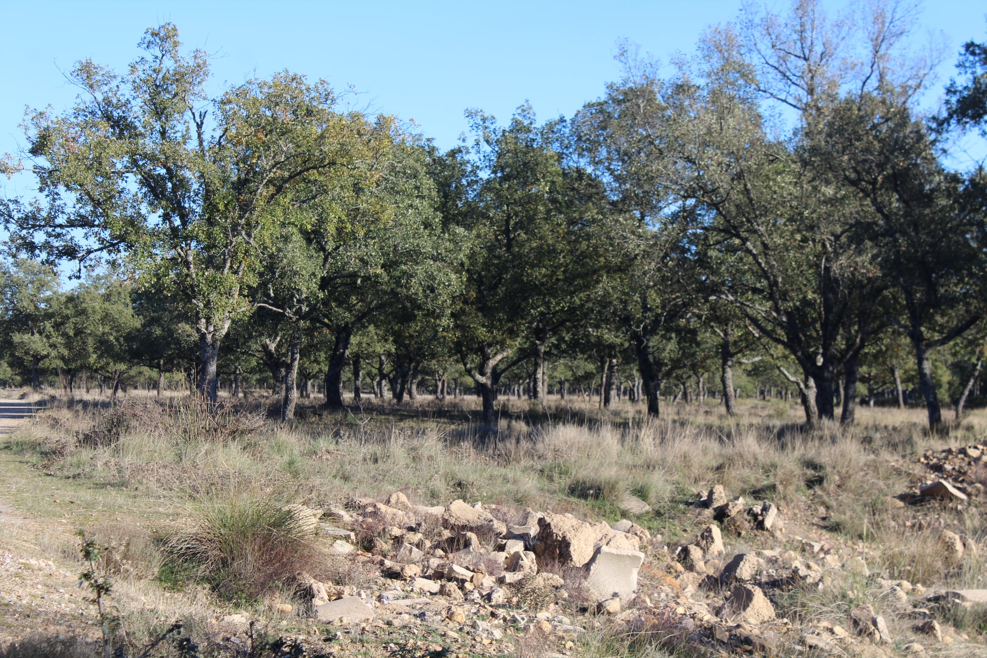 Travesía Finca la Garganta