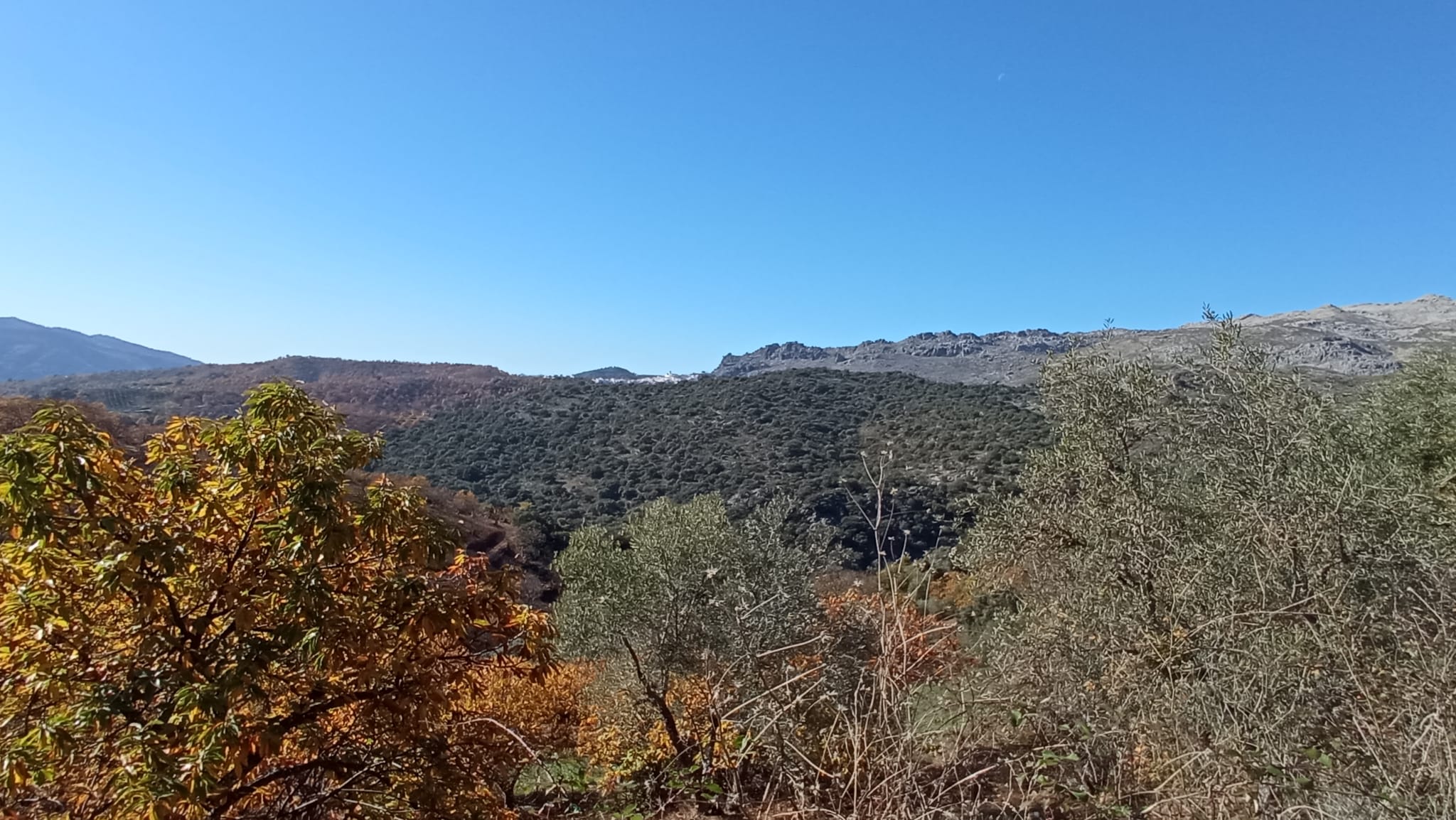 Travesía Finca la Garganta