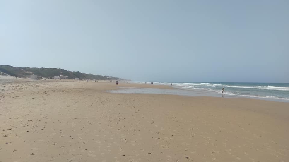 PLAYAS DE CONIL