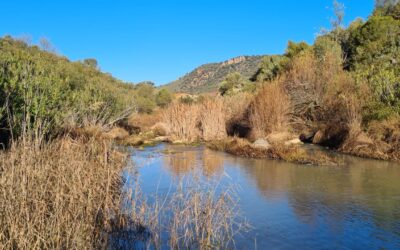 La Toleta-Río Guadalete