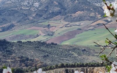 RUTA: MONTEJAQUE-RONDA