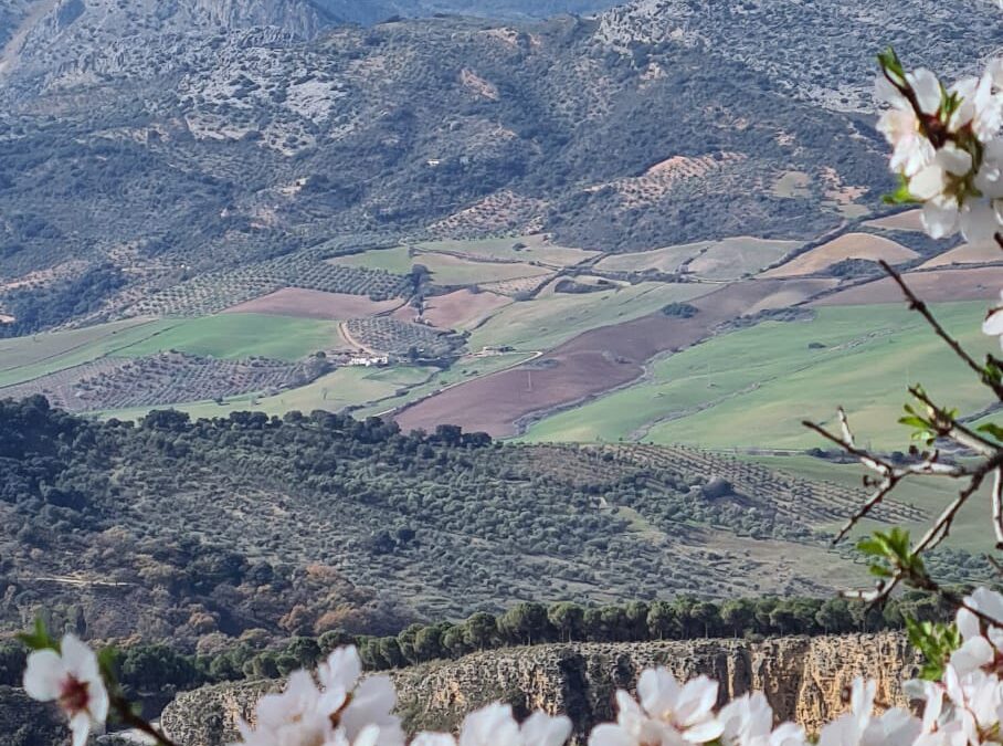 RUTA: MONTEJAQUE-RONDA