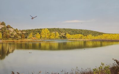 Parque Natural Lagunas de Ruidera y Parque Nacional Tablas de Daimiel