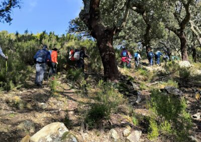 RUTA FINCA DE MURTA