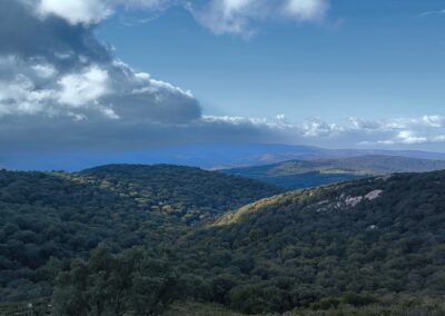 RUTA FINCA DE MURTA