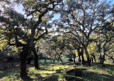 RUTA FINCA DE MURTA